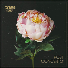 Coma Cose - Post Concerto