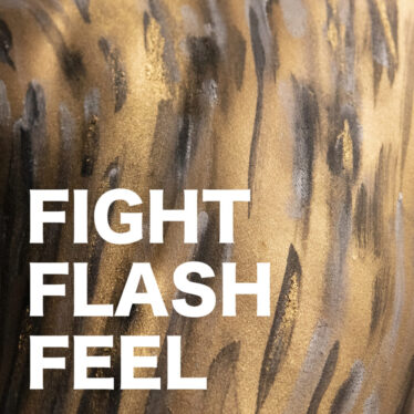 “Fight Flash Feel”: il ritorno dei Tokyo Suicide – Leggi la recensione